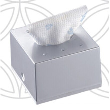 Silber Squre Dekorative Fancy Public Car Großhandel Wand Kunststoff Gesichts Tissue Paper Box Halter